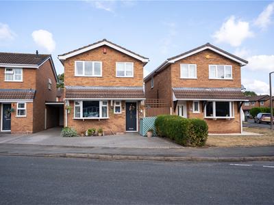 Picture 24